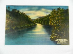 Vintage Postcard 961 Esopus Creek From Glenerie Bridge Moonlight Saugerties NY