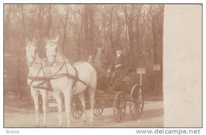 RP: Magdeburg , Saxony-Anhalt, Germany. 00-10s ; Buggy taxi in park