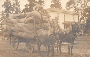 Farming Scene Donkey Cart Real Photo Vintage Postcard AA32435