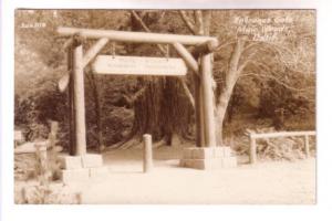 Real Photo, Entrance Gate, Muir Woods, California