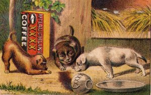 1870s-80s McLaughlin's XXXX Coffee Adorable Puppies Dogs F145