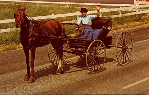 Pennsylvania Amish Country Amish Boy With Amish Courting Buggy