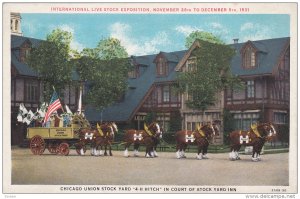 International Live Stock Exposition, Chicago Union Stock Yard 4-H Hitch in ...