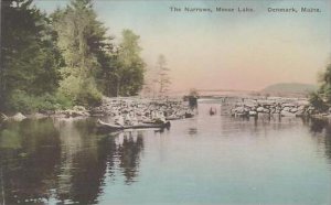 Maine Denmark The Narrows Moose Lake Albertype