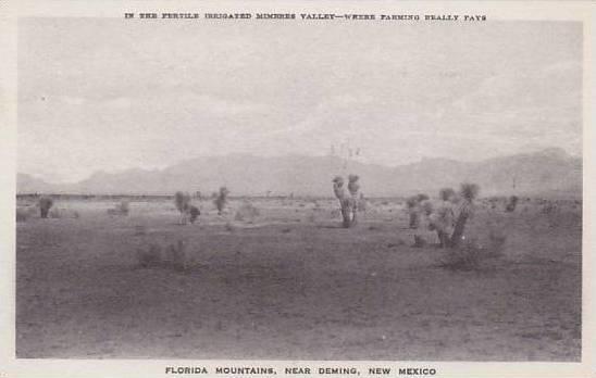 New Mexico Deming Florida Mountains Albertype