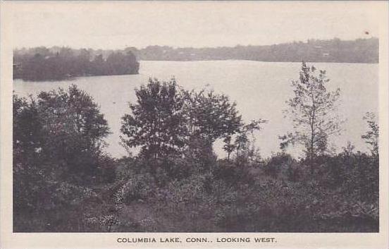 Connecticut Columbia Lake Looking West Albertype