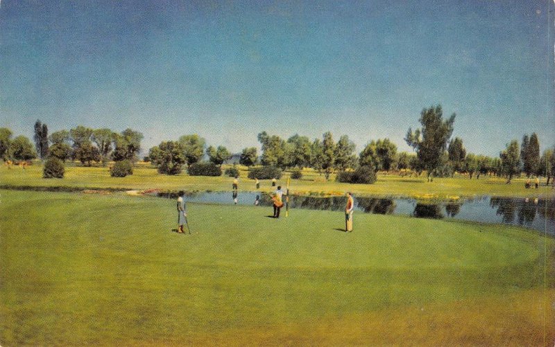 Golf Course THE SAN MARCOS Chandler, Arizona Hotel c1950s Vintage Postcard