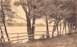 WHITE LAKE SULLIVAN COUNTY NEW YORK FENCE & TREE LINED~ARTINO PUBL POSTCARD 1912