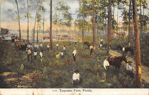 Turpentine Farms Unused 