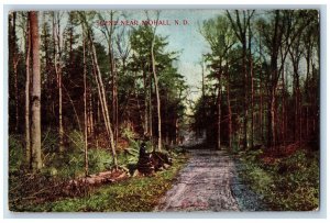 Mohall North Dakota ND Postcard Scenic View Of Country Road Trees 1909 Antique