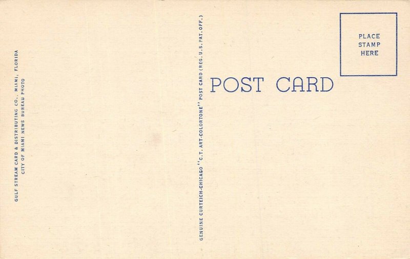 LP85    Miami  Florida Postcard  International Airport 