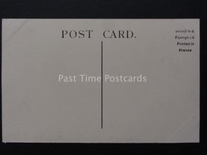 Devon: LL.9 EXETER CATHEDRAL The Nave Looking West - Old Postcard