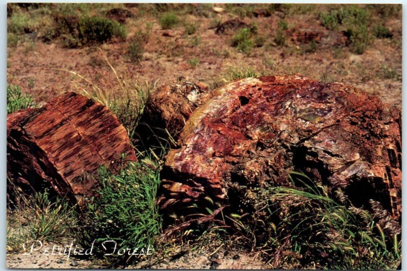 Postcard - Petrified Logs, Petrified Forest National Park - Arizona