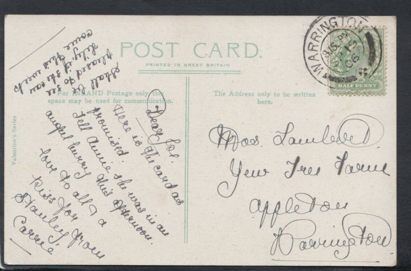 Animals Postcard - Dogs - Alexander and Diogenes   RS10743