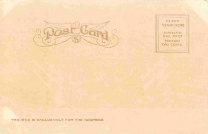 Panorama Seattle Washington 1907c postcard