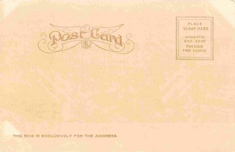 Panorama Seattle Washington 1907c postcard