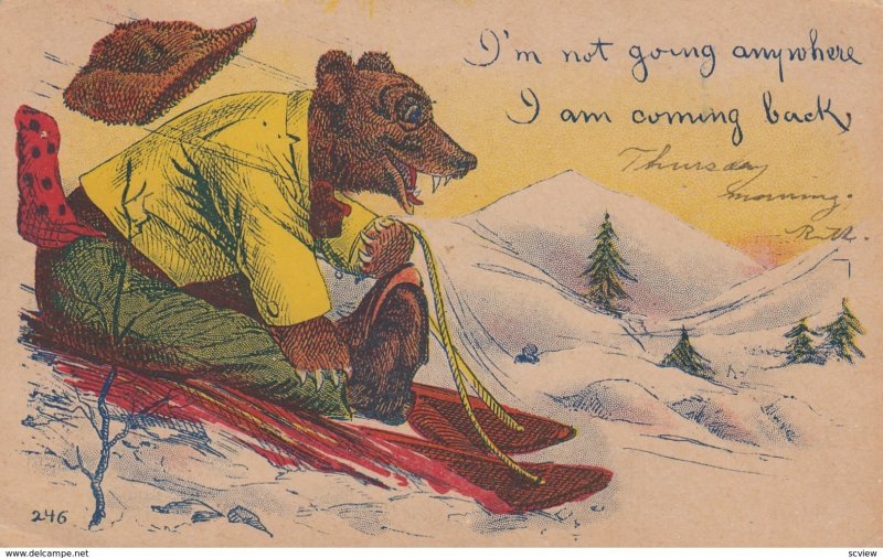 Bear on a sled , 1908