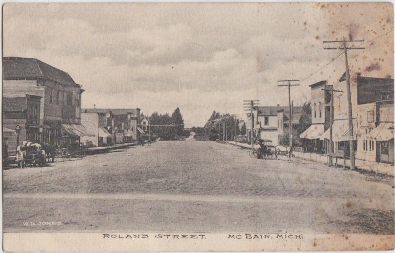 Michigan MI Postcard 1908 McBAIN Roland Street Stores Wagon 