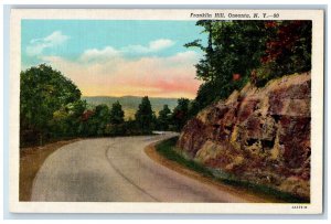 c1940's Franklin Hill Oneonta New York NY Vintage Unposted Postcard 