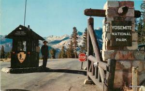 1950s Yosemite National Park California Tioga Pass Crocker postcard 5820