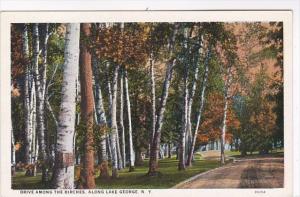 New York Lake George Drive Among The Birches Curteich