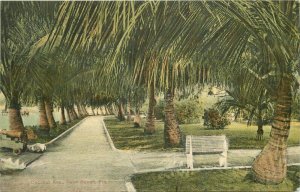 Cocanut Avenue Palm Beach Florida Morris #116283 1908 Postcard 20-10414