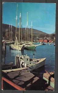 Maine, Where The Mountains Meet The Sea - [ME-104]