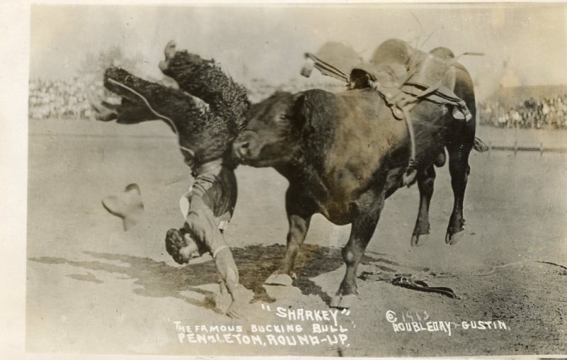 Pendleton Oregon Round-Up Rodeo, 1913