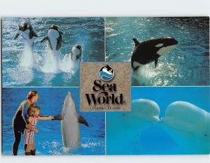 Postcard Sea World Multi-View Orlando Florida USA
