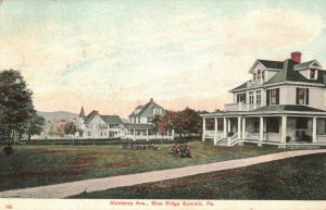 Circa 1908 Monterey Ave, Blue Ridge Summit, Pa. Postcard Made in Germany 