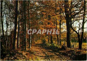 Modern Postcard Campaign picturesque Haute Vienne St Sulpice Leaves