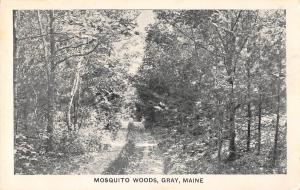 Mosquito Woods, Gray, Maine Antique Postcard (T2014)