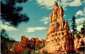 Red Canyon Utah UT Bryce Canyon National Park Postcard VTG UNP Plastichrome  