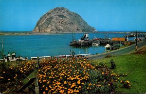 California Morro Bay Morro Rock Gibraltar Of The Pacific