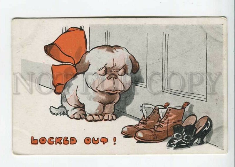 438588 SPURGIN BOW-WOW Sad FRENCH BULLDOG Dog Vintage postcard #482