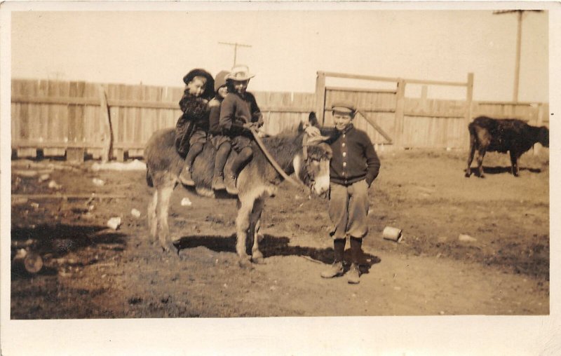 G98/ RPPC Postcard c1910 Rocky Mountains Colorado Burrow Ride Kids 20