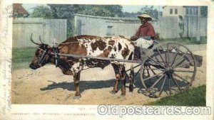 Mammy Going to Market Black Americana 1906 a lot of corner wear, postal used ...