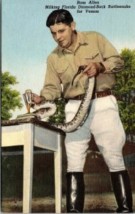 postcard - Ross Allen Milking Rattlesnake Silver Springs Florida