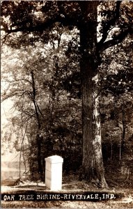 Real Photo Postcard Oak Tree Shrine in Riveryale, Indiana