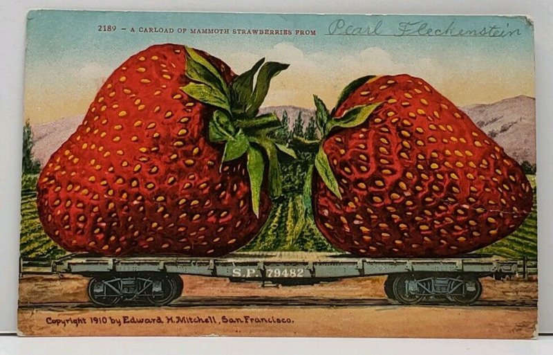 A Carload of MAMMOTH STRAWBERRIES 1910 Mitchell San Francisco Postcard G12