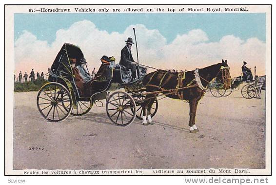 Horsedrawn Vehicles only are allowed on the top of Mount Royal, Montreal, Can...