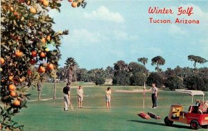 Golfing Valley of the Sun Arizona Petley oranges 1950s Postcard 6741