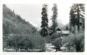 Postcard RPPC California Mineral King Fresno Fishing Cabin 1950s 23-4325