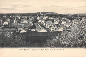 Newark New York Birdseye View Of City Antique Postcard K97881