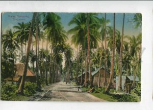 3147084 SINGAPORE Malay Kampong Vintage postcard