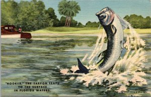 Vtg 1950 Hooked the Tarpon Leaps to the Surface Fishing Fish Florida FL Postcard