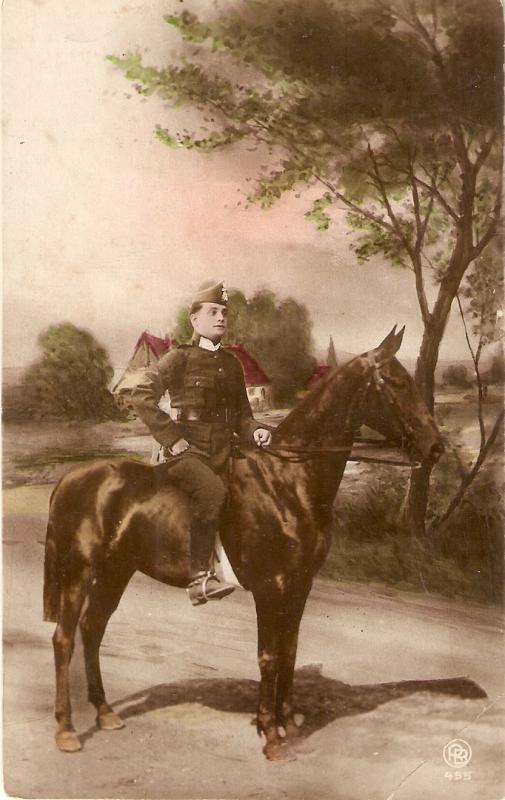 Horses. German military in his horse · Antique German postcard
