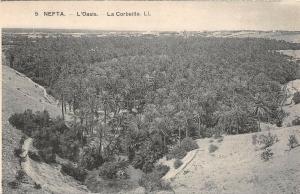 B91950 nefta l oasis la corbeille tunisia    africa