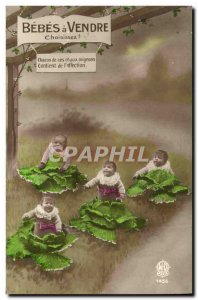 Old Postcard Fantasy Children Babies for sale