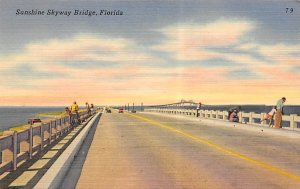 Sunshine Skyway Bridge St Petersburg FL